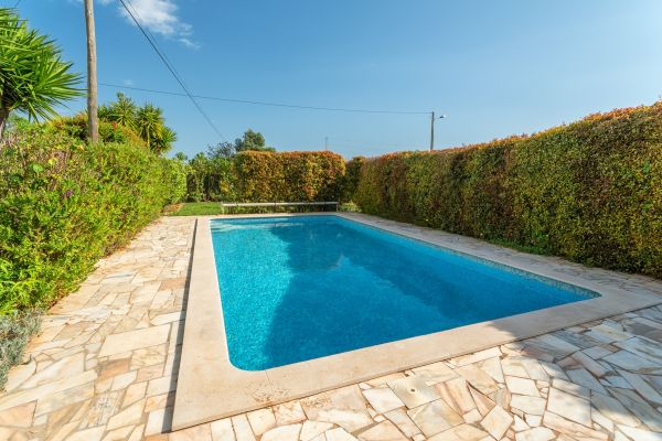 Pool Edge Replacement